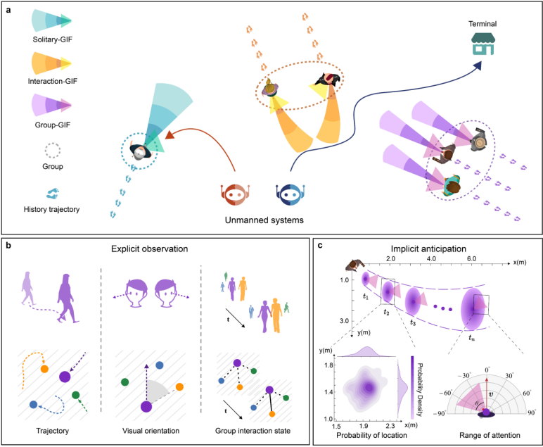 Group Interaction Field for Learning and Explaining Pedestrian Anticipation